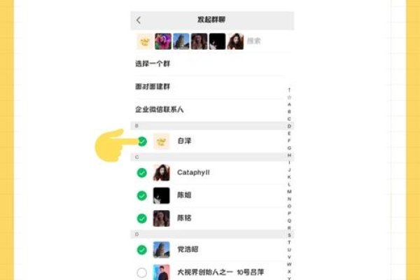 微信多人视频聊天室教程与使用指南，从开启到加入频道详细步骤-红迪亚