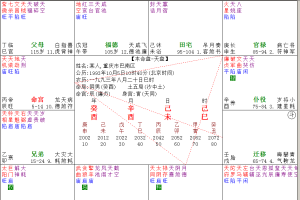 紫微斗数命盘详解-红迪亚