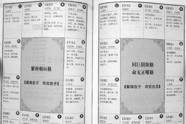 紫微斗数在线排盘详解与命宫解析，洞悉命运、婚姻及事业走势-红迪亚