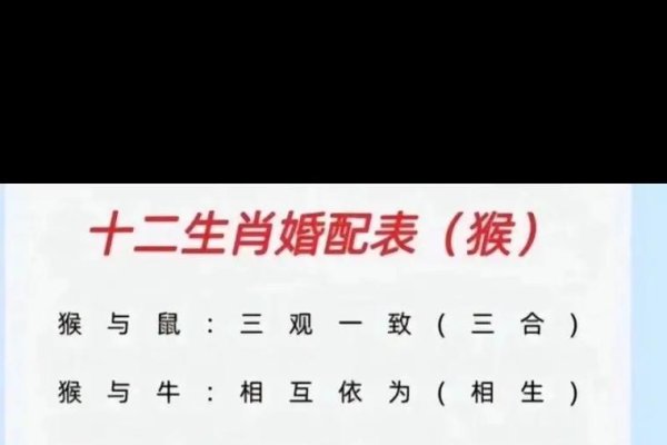 属猴的生肖配对与相克相冲解析属猴最配什么属相？与哪些属相相克、相害及相刑？-红迪亚