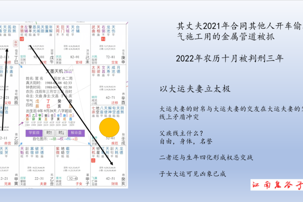 紫微斗数排盘分析-红迪亚