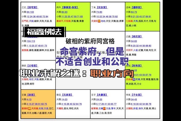 紫微斗数格局解析-红迪亚