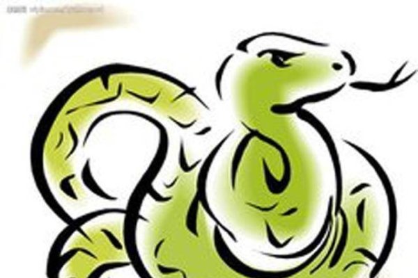 秋霜冬雪与生肖猪的沉静坚韧，蛇的冬眠苏醒象征。-红迪亚