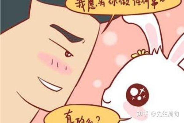 属兔的最佳配对与相克属相解析-红迪亚