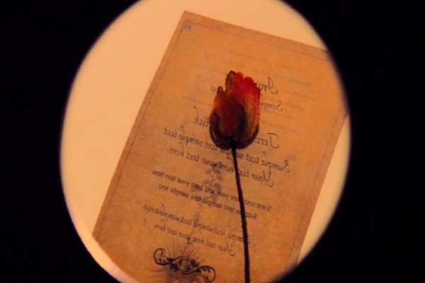 颓废风格网名精选，感受消极情绪的魅力。，孤独与失落——颓废伤感网名推荐。，深度解析颓丧心态的流行网名及其背后的故事。-红迪亚