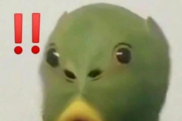 20个沙雕网名,国产好姑娘,一身正气结果漏气,小熊把气球吹爆了,马云的脑残粉,法海的女儿,该用户已成仙,预期分手,九亿少女的梦,暗黑少女宋小宝,10. 中二少女欢乐多,11. 我厉害死了,12. 明眸Sunshine,13. 夏花秋叶情始终,14. 我是小怪兽,15. 纯真可爱无添加,16. 只舔牛奶盖的憨憨,17. 隐形的鸡翅膀♂,18. 节操嘎嘣脆,19. 御前带刀厨子,20. 会有僵尸替我爱你-红迪亚