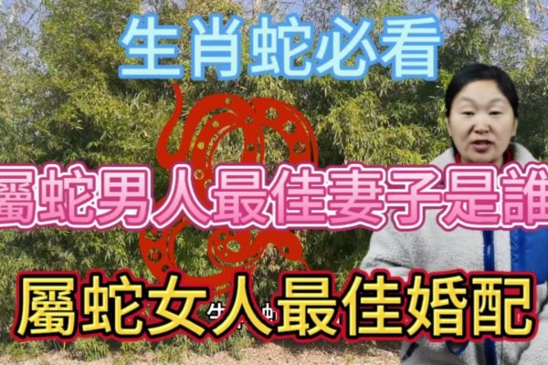 属蛇婚配表详解，最佳配偶与不合对象，本文详细解读了属蛇人的婚姻配对情况，包括男性属蛇的最佳配偶和不适婚配对象，女性属蛇的类似信息。此外还涉及不同月份出生的属蛇人宜嫁娶的对象以及整体生肖婚配的注意事项等。文中内容丰富详尽但不冗余。-红迪亚
