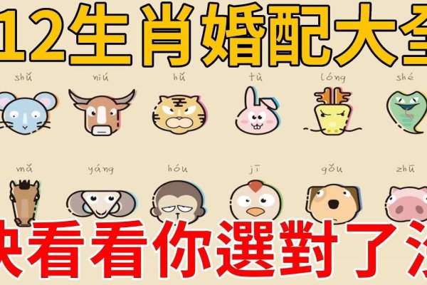 属相婚配表，生肖配对与婚姻指南-红迪亚
