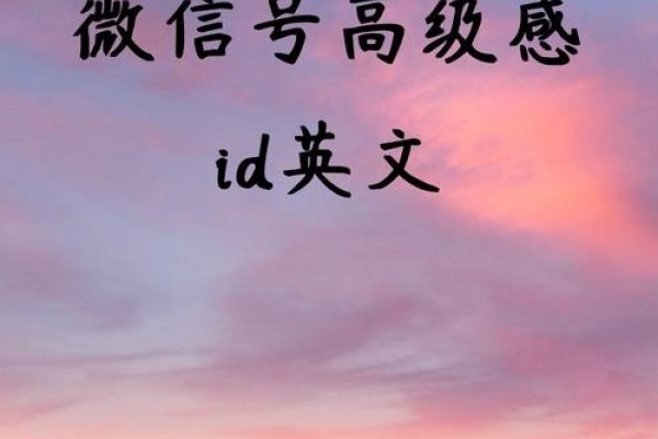 微信号ID，Etranfire-红迪亚