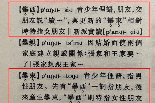 南京话中的潘西，年轻女性的独特称呼起源与详解-红迪亚