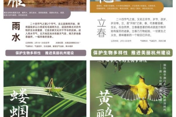 惊蛰节气含义-红迪亚