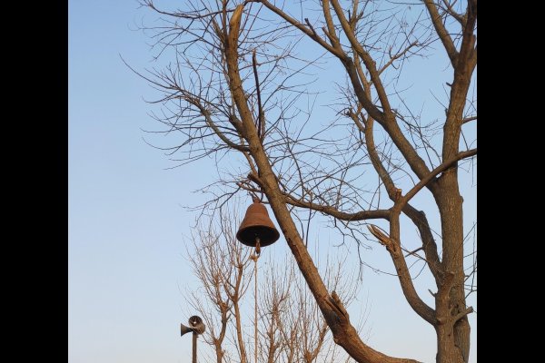 郑州交友网站建设分析-红迪亚