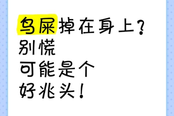 鸟粪落身寓意解析，是福是祸？，不同文化对鸟屎掉身上有不同的解释，包括好运、健康等。但也有人认为是迷信或无科学依据的说法。-红迪亚