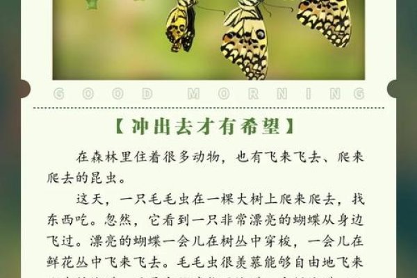 苍蝇梦境解析，预示困扰与应对之道-红迪亚