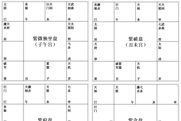 紫薇命盘深度解析-红迪亚