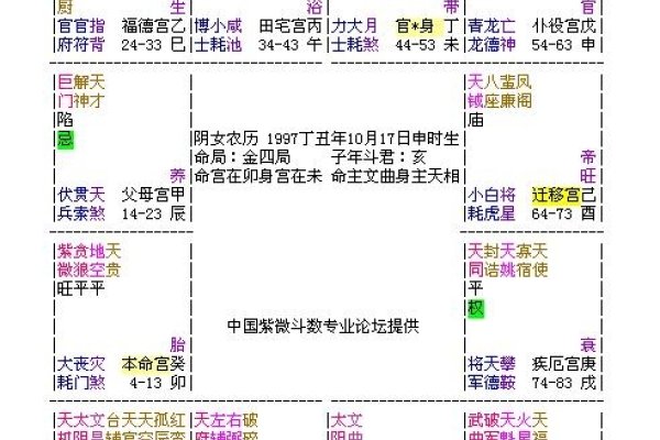 紫薇命盘解析及预测标题，，紫薇星座命盘详解与运势走向分析，紫微斗数全面解读，洞悉命运走势与个人特质，从紫微命盘看性格、事业与爱情发展，紫微排盘查询报告及个人成长建议，探索你的未来，紫微命盘的奥秘与应用价值-红迪亚