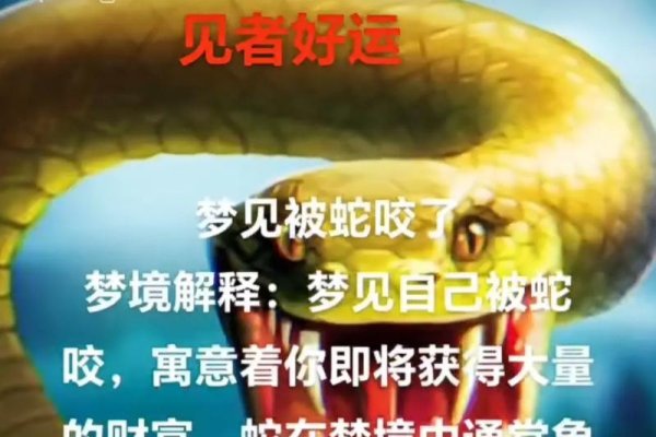 蛇咬梦预示吉兆或财运-红迪亚