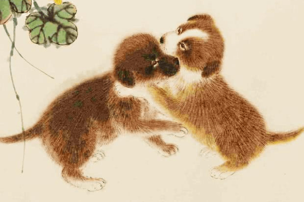 属狗女的最佳婚配生肖，兔、虎、马，狗女婚配，兔虎马最合。-红迪亚