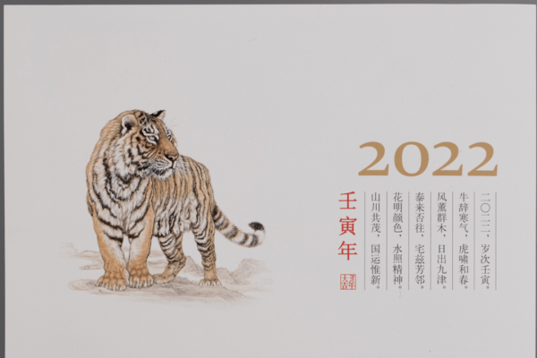 壬戌年解析，传统纪年的干支循环与生肖狗的联系及历史背景（附年份详解）-红迪亚