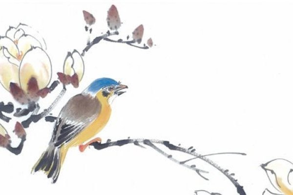 19年属牛女最佳婚配时间-红迪亚