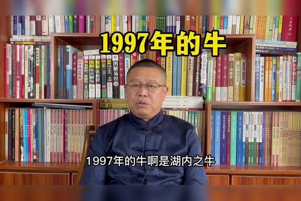 97年属牛人的生肖命运与婚姻解析-红迪亚