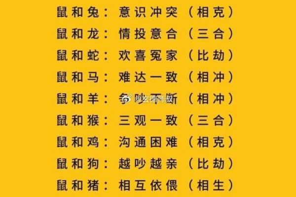 96年属鼠生肖婚配与生育详解，最佳配偶属相及宜忌年份-红迪亚
