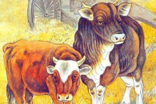 85年属牛人的黄金岁月，最穷不过36岁-红迪亚