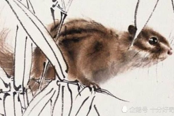 袁隆平的生肖是蛇，智慧、灵性的象征。-红迪亚