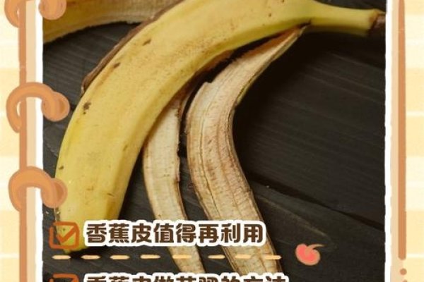 香蕉皮责任判定-红迪亚