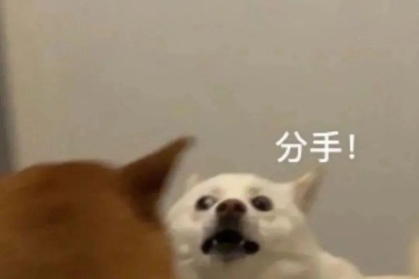 奶凶情侣昵称-红迪亚