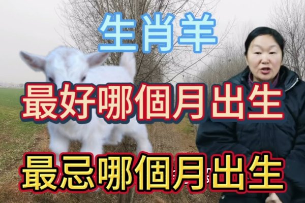 属羊人出生月份与命运解析，最佳出生月份揭秘-红迪亚