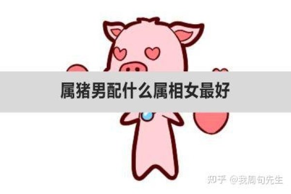 属猪人的婚姻与命运详解，性格温和，婚姻稳定，命运顺遂-红迪亚