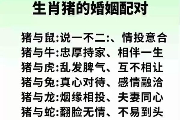 属猪人的最佳配对与相克属相解析-红迪亚