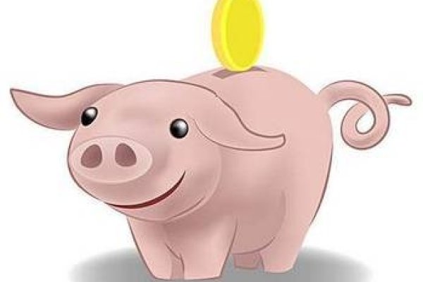 属猪人2013年运势详解,事业波动,财运不佳需注意健康与人际关系-红迪亚