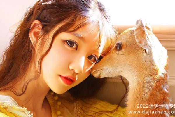 属羊人2022年运势详解-红迪亚