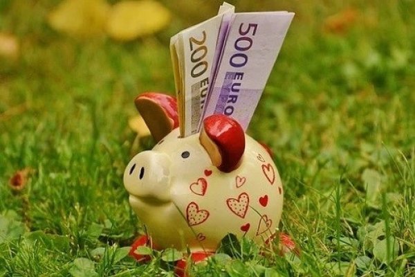 属猪人2022年全年运势及运程-红迪亚