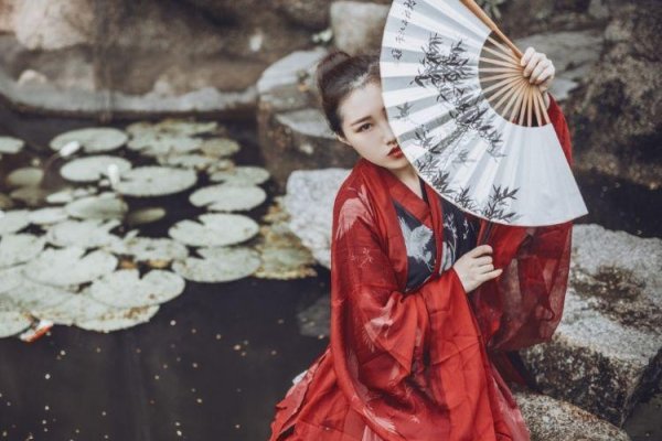 归心似箭，生肖马。-红迪亚