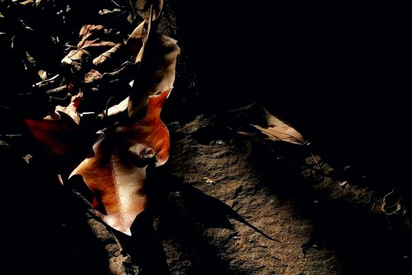 揭秘十月二十七日的神秘面纱-红迪亚