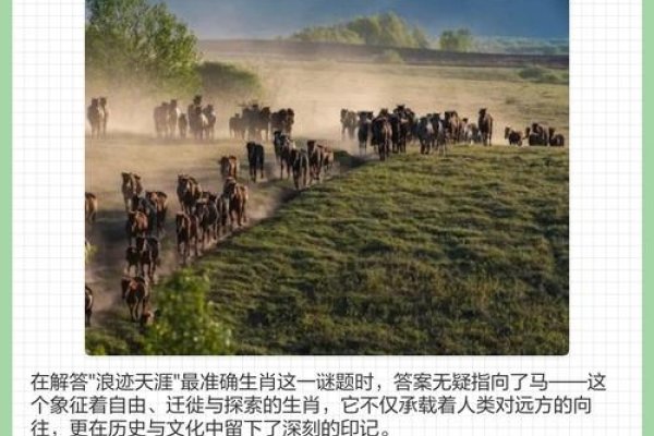 浪迹天涯的生肖是马。-红迪亚