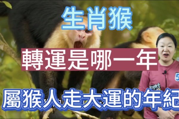 瞬息万变的生肖是猴龙，形容变化快速。-红迪亚