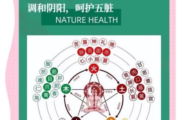 圣宣五行疗法，调五脏达内外平衡的健康之道-红迪亚