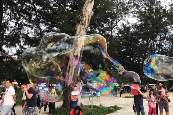 泡泡网名的梦幻之旅，寓意唯美、梦幻的氛围-红迪亚