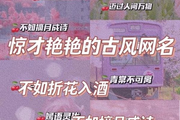 QQ网名创意集锦，诗意伤感、古风仙气到搞笑捣蛋，精选QQ网名，花草动物风景类，总有一款适合你！，黑字霸气十足的QQ网名推荐，神秘黑暗与个性时尚并存的选择。-红迪亚