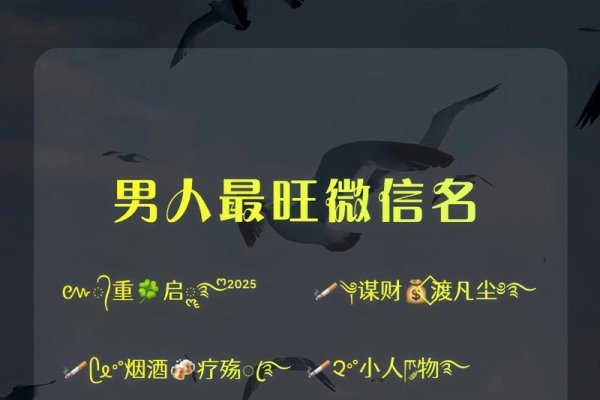 男性网名精选集，成熟男人好运网名大全-红迪亚