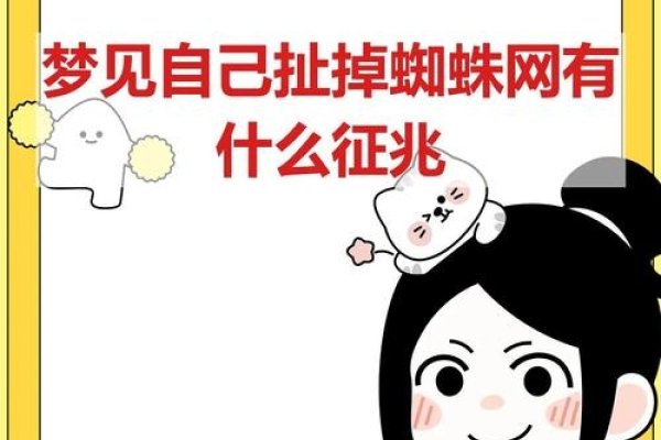 蜘蛛网梦境解析,吉祥征兆与努力奋斗的预示-红迪亚