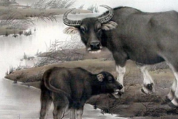 属相性格解析，鼠与牛的性格特点，生肖鼠机智敏锐，坦诚直率；而生肖牛黄道勤恳，脚踏实地。两者皆有独特魅力与个人特质。-红迪亚