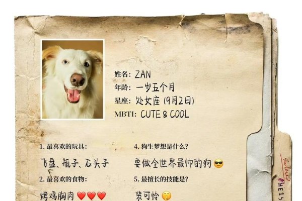 牧羊犬个性母名。-红迪亚