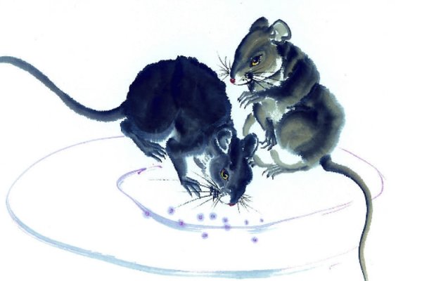 凿壁偷光的生肖是鼠，习性与故事吻合，代表勤奋与机智。-红迪亚