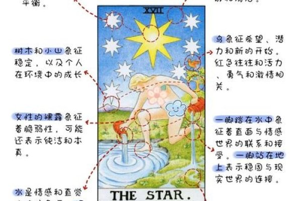 塔罗牌解读与运势预测,揭秘潜在结果,指引决策方向-红迪亚