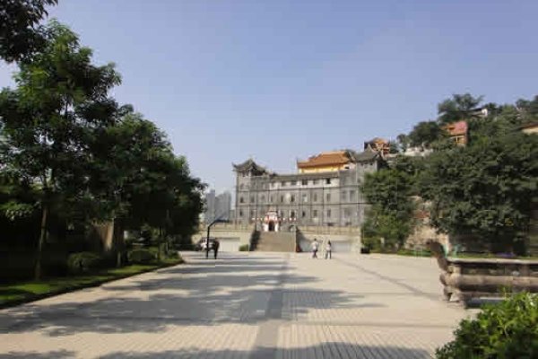 扶疏详解，植物枝叶繁茂的生动描绘与多重含义-红迪亚